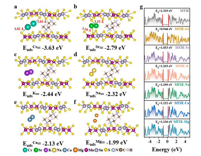 Towards high-performance Cs and Sr removal via A coral-like dimethylamine-directed manganese thiostannate: Experimental and DFT calculations